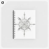2-52_Ernst-Haeckel_memo