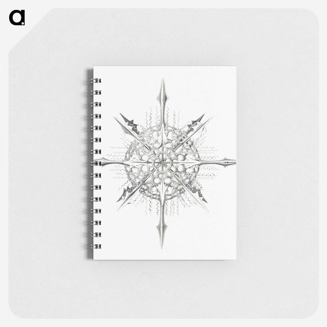 2-52_Ernst-Haeckel_memo