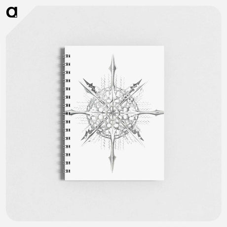 アートメモ帳-Vintage marine life illustration on white background - エルンスト ヘッケル Memo.