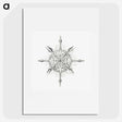 2-52_Ernst-Haeckel_picture