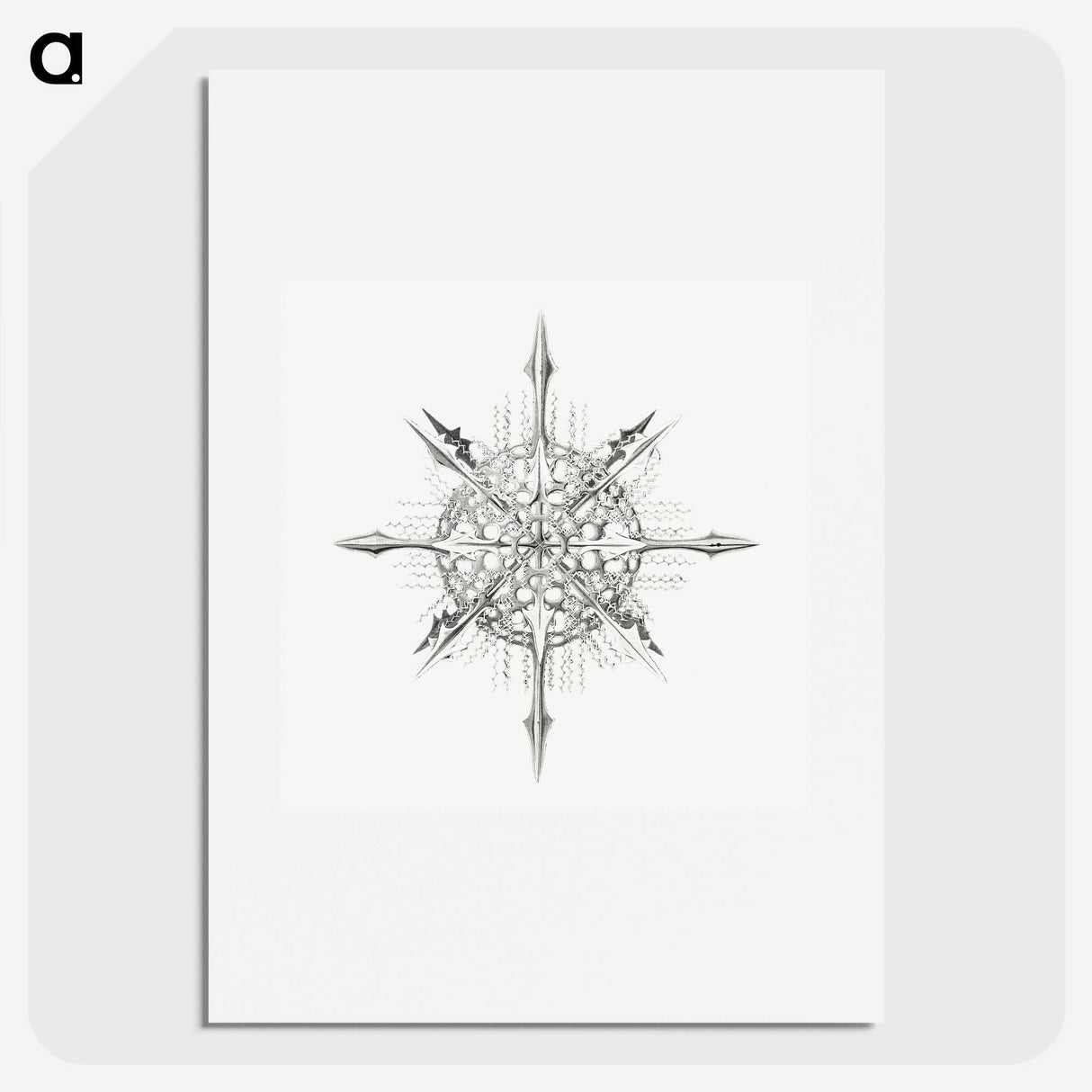 2-52_Ernst-Haeckel_picture