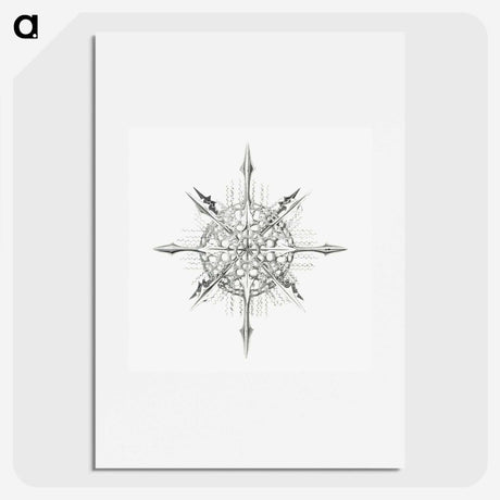 2-52_Ernst-Haeckel_picture