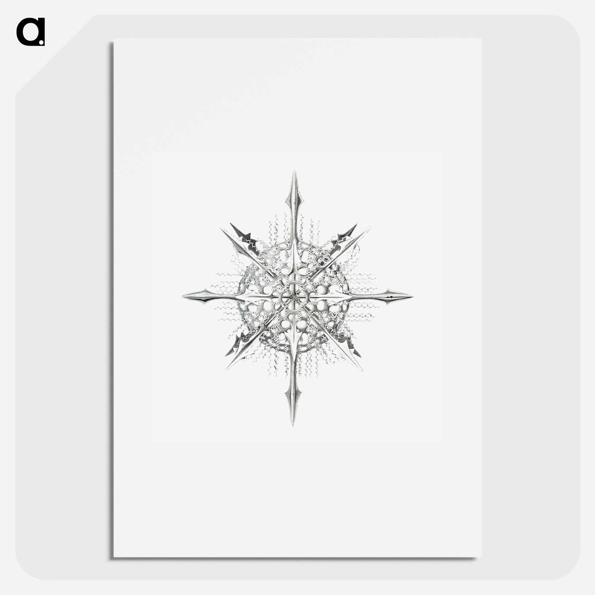 Vintage marine life illustration on white background - エルンスト ヘッケル Poster.