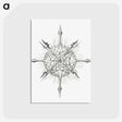 2-52_Ernst-Haeckel_postcard