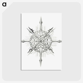 2-52_Ernst-Haeckel_postcard