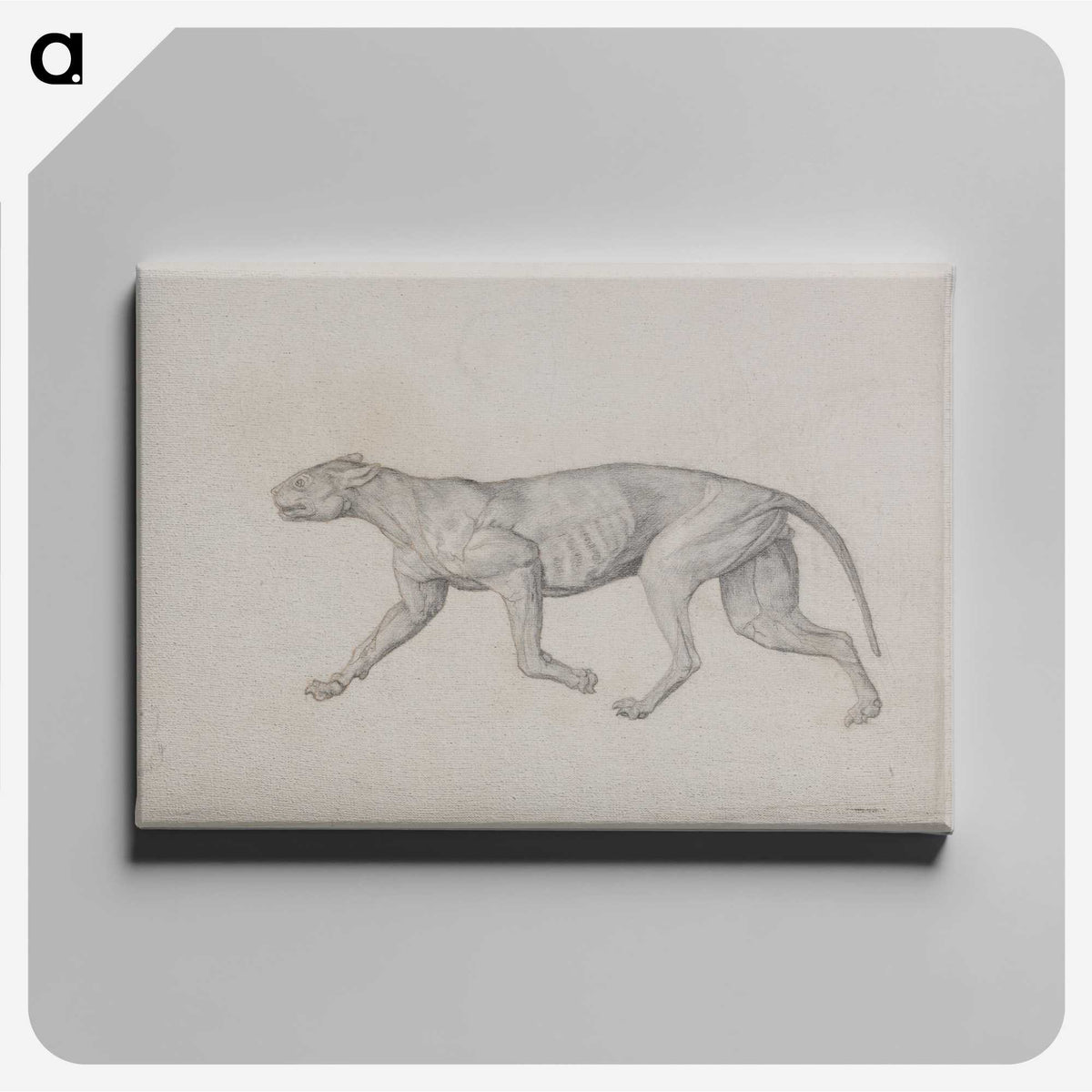 2-52_George-Stubbs_canvas