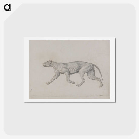 2-52_George-Stubbs_hagaki