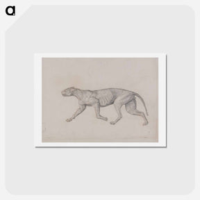 アートポストカード-Leopard Body, Lateral View
 - ジョージ スタッブス Postcard.