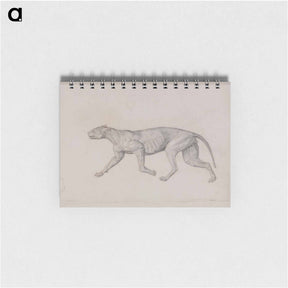 アートメモ帳-Leopard Body, Lateral View
 - ジョージ スタッブス Memo.