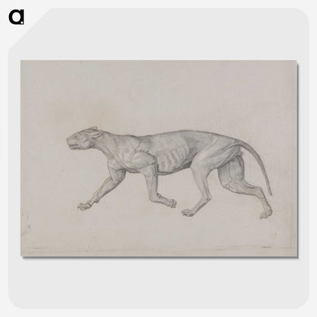 2-52_George-Stubbs_picture-crop
