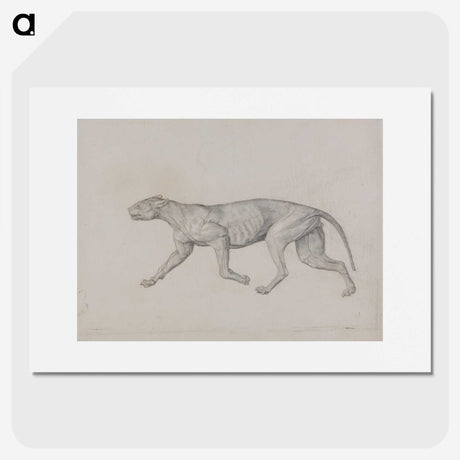 2-52_George-Stubbs_picture