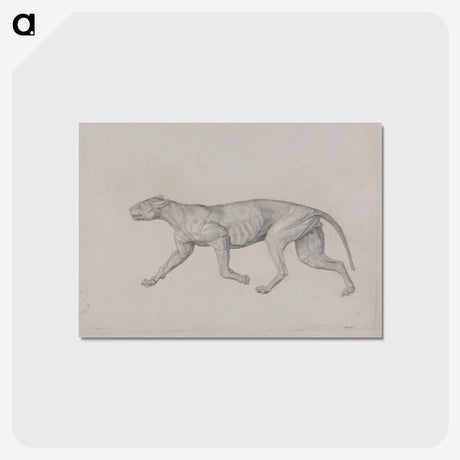 2-52_George-Stubbs_postcard