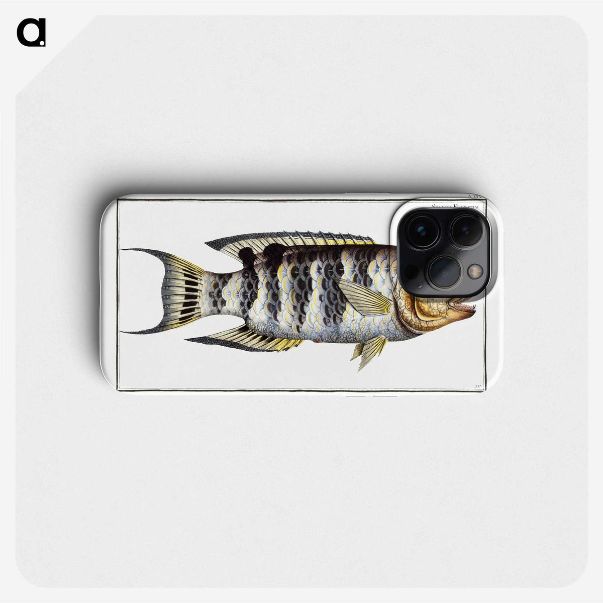 2-52_Ichtyologie-ou-Histoire-naturelle_phone