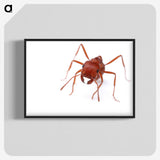 2-52_Insects-Unlocked-Project_blk-crop