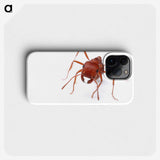 2-52_Insects-Unlocked-Project_phone