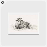 アートポストカード-Lying cow - ジャン ベルナール Postcard.