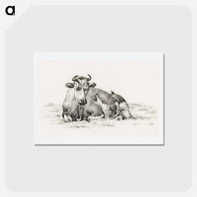アートポストカード-Lying cow - ジャン ベルナール Postcard.