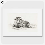 2-52_Jean-Bernard_picture