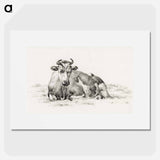 Lying cow - ジャン ベルナール Poster.