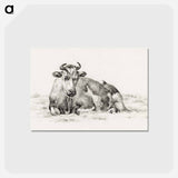 アートポストカード-Lying cow - ジャン ベルナール Postcard.