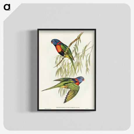 2-52_John-Gould_blk-crop