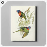 2-52_John-Gould_canvas