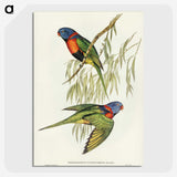 2-52_John-Gould_picture-crop