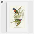 2-52_John-Gould_picture
