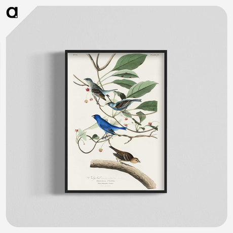 2-52_John-James-Audubon_blk-crop