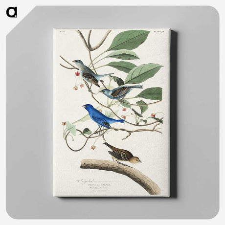 2-52_John-James-Audubon_canvas