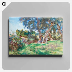 アートパネル-Olive Trees, Corfu - ジョン シンガー サージェント Canvas.