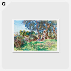 アートポストカード-Olive Trees, Corfu - ジョン シンガー サージェント Postcard.