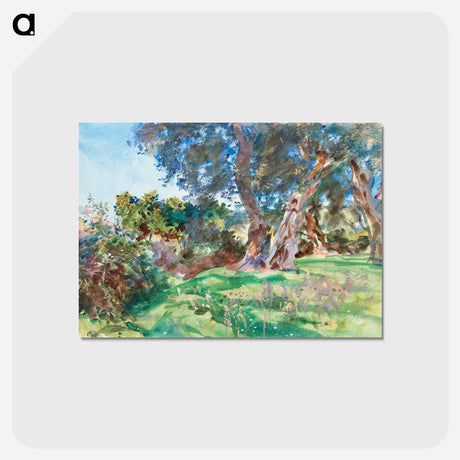 アートポストカード-Olive Trees, Corfu - ジョン シンガー サージェント Postcard.