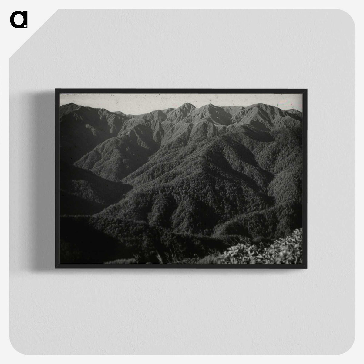 2-52_Leslie-Adkin_blk-crop