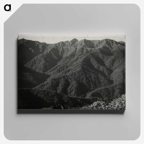 2-52_Leslie-Adkin_canvas