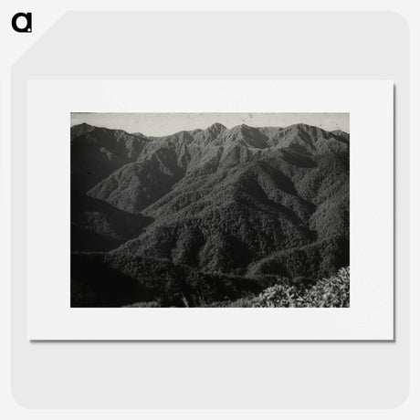 2-52_Leslie-Adkin_picture