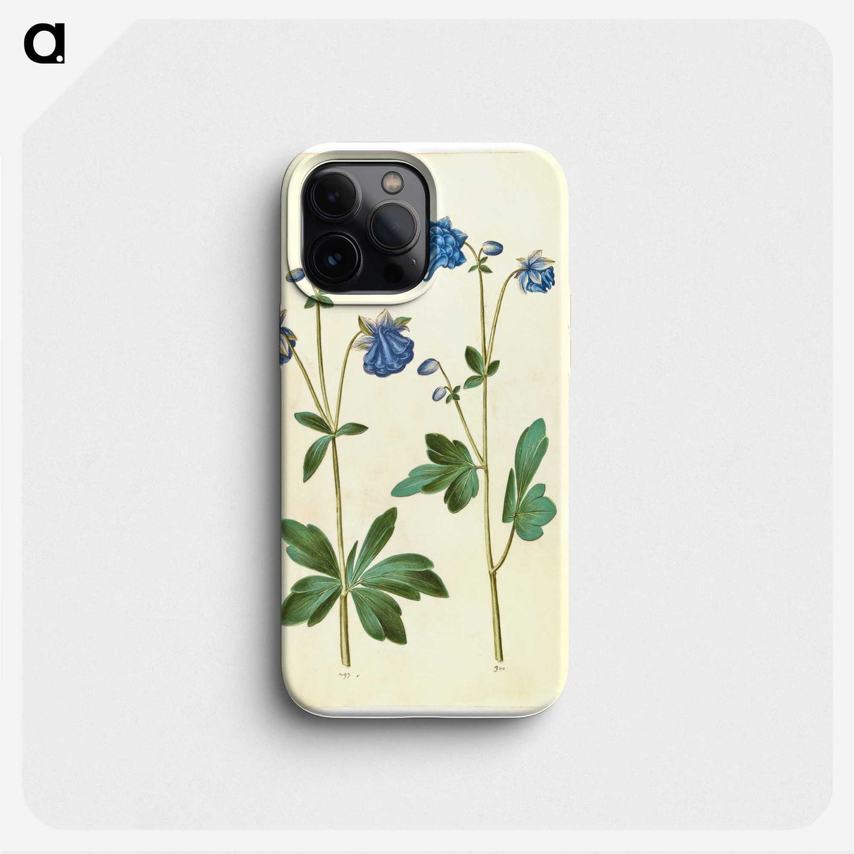 2-52_Maria-Sibylla-Merian_phone