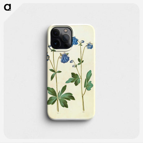2-52_Maria-Sibylla-Merian_phone