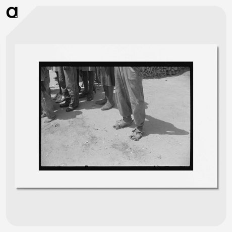2-52_Marion-Post-Wolcott_picture