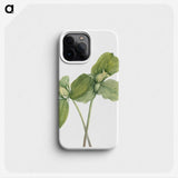 2-52_Mary-Vaux-Walcott_phone