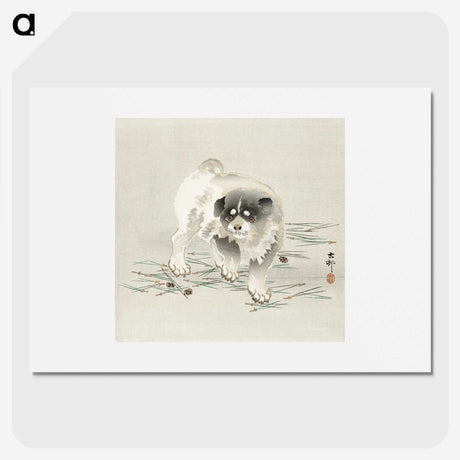 2-52_Ohara-Koson_picture