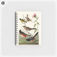 アートメモ帳-Chestnut-coloured Finch, Black-headed Siskin, Black crown Bunting and Arctic Ground Finch from Birds of America
 - アメリカの鳥たち Memo.