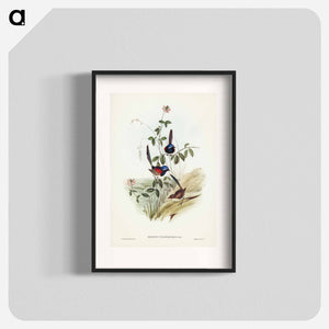 オーストラリア