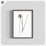 2-52_The-Lilies_blk