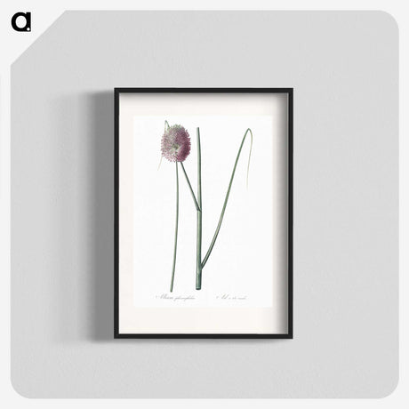2-52_The-Lilies_blk