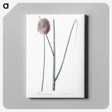 2-52_The-Lilies_canvas