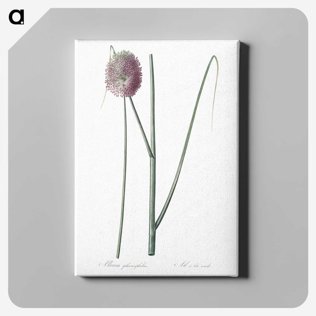 2-52_The-Lilies_canvas