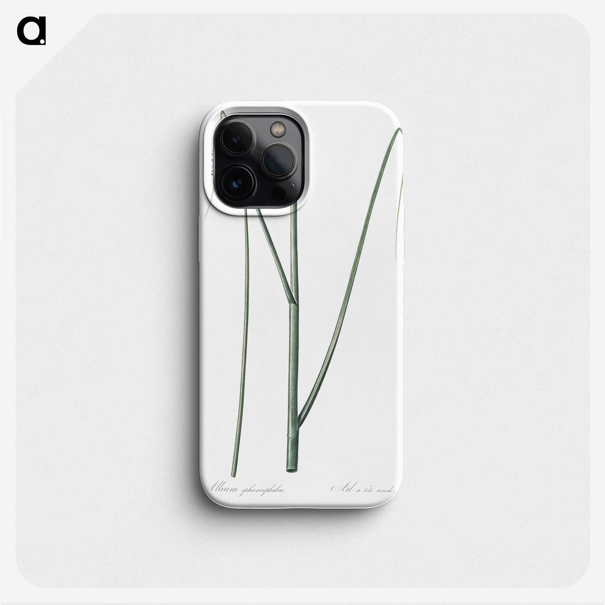 2-52_The-Lilies_phone