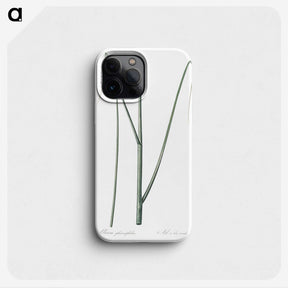 2-52_The-Lilies_phone