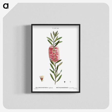 2-52_Treatise-on-Trees-and-Shrubs_blk-crop